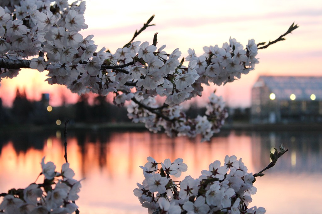 夕暮れ時