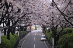 桜坂