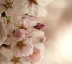 IMG_9613
