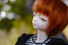 「今日は小春日和だけどね」