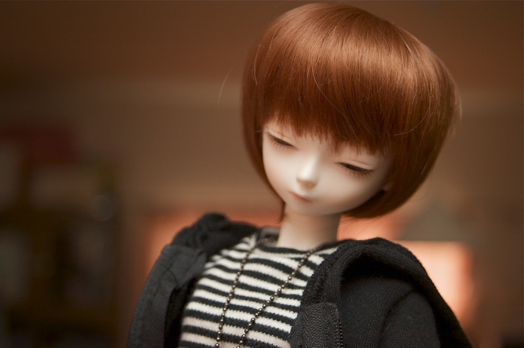 「お散歩に連れてってくれるの？」