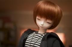 「お散歩に連れてってくれるの？」