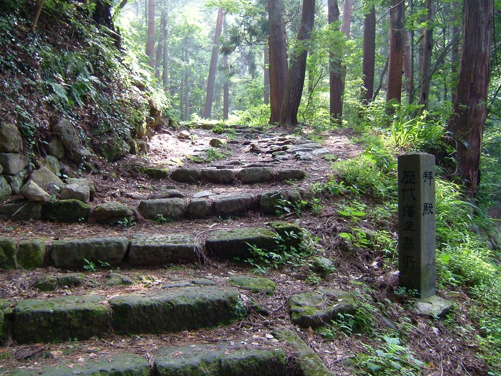 続く道