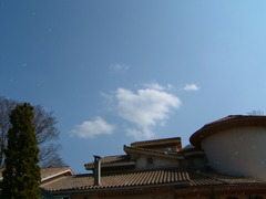 シャボン玉