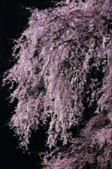 光る