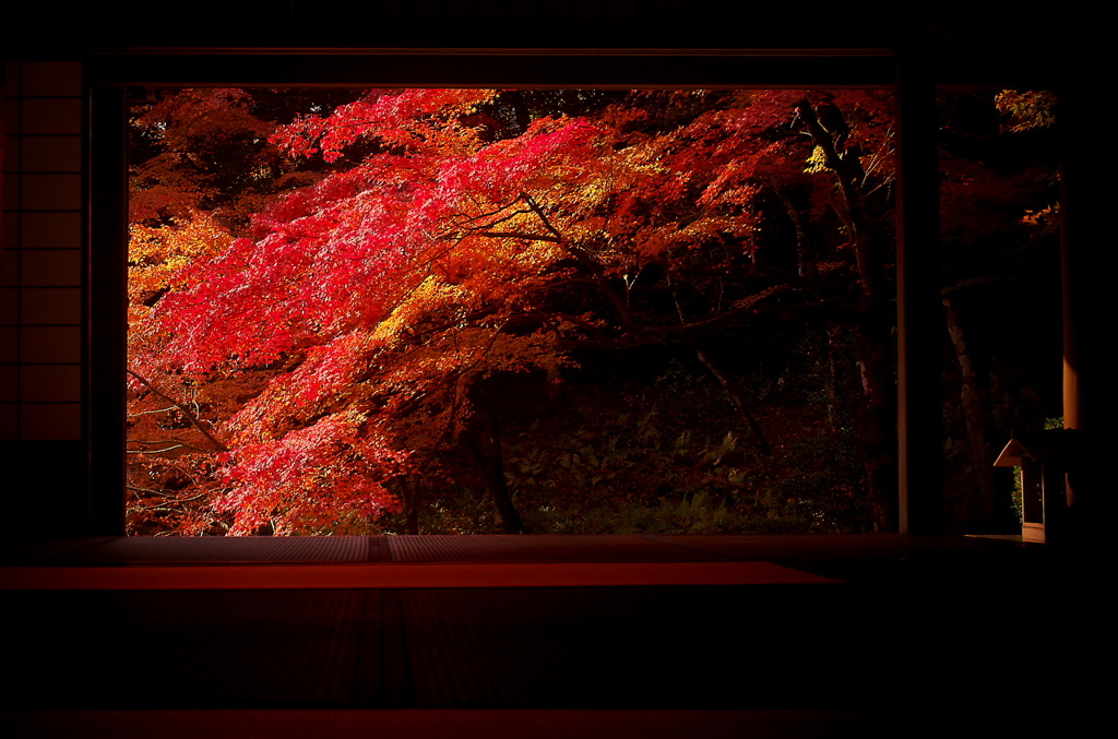 吉水園の紅葉（その１）