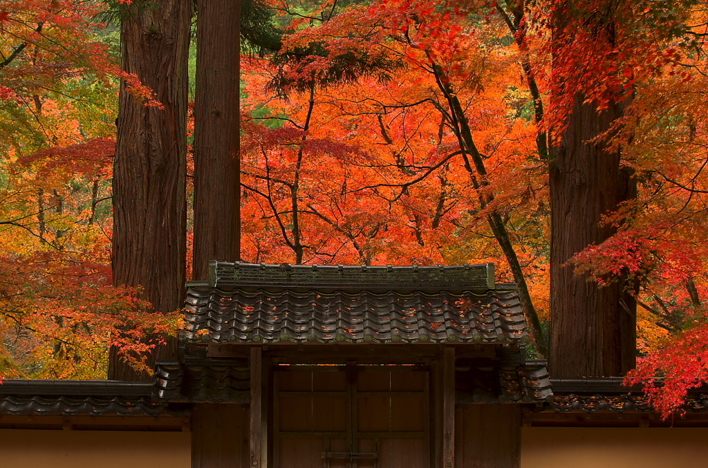 佛通寺の紅葉（その２）