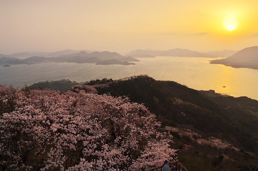 いわぎ三千本桜