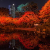 写りこみ