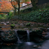鰐淵寺の紅葉（その３）