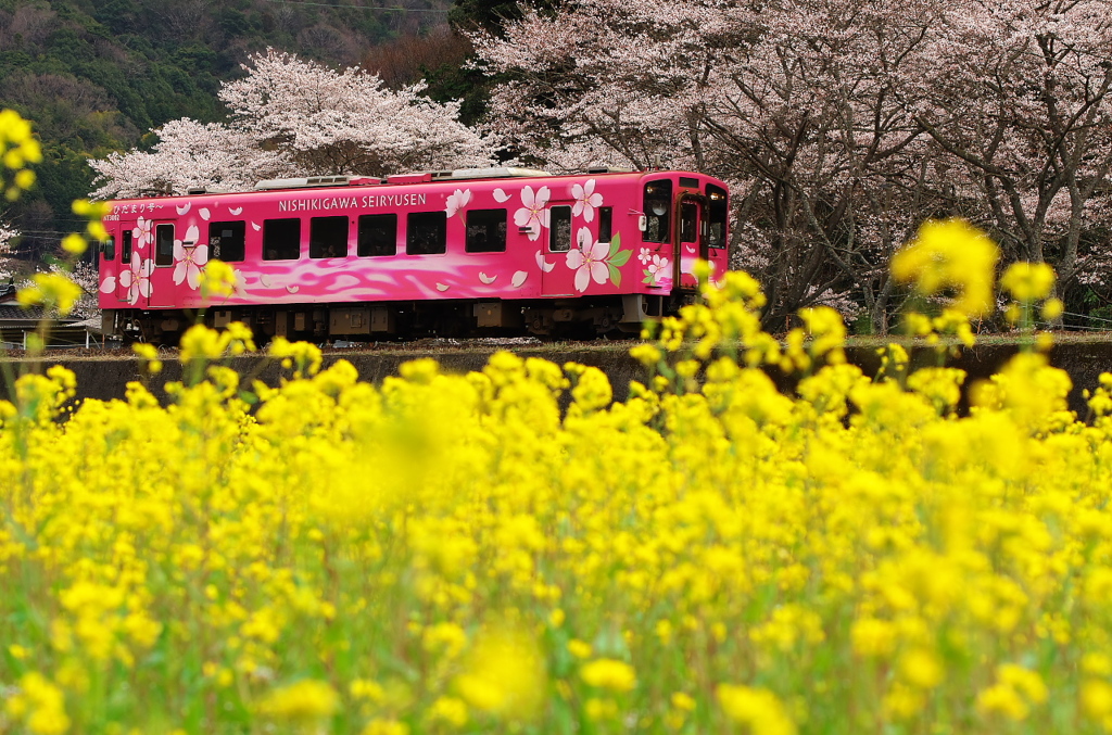 花列車