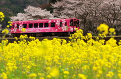 花列車