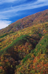 砥石郷山の紅葉（その１）