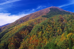 砥石郷山の紅葉（その２）