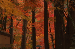 佛通寺の紅葉（その１）