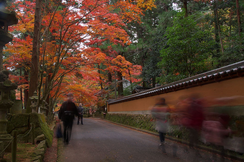佛通寺の紅葉