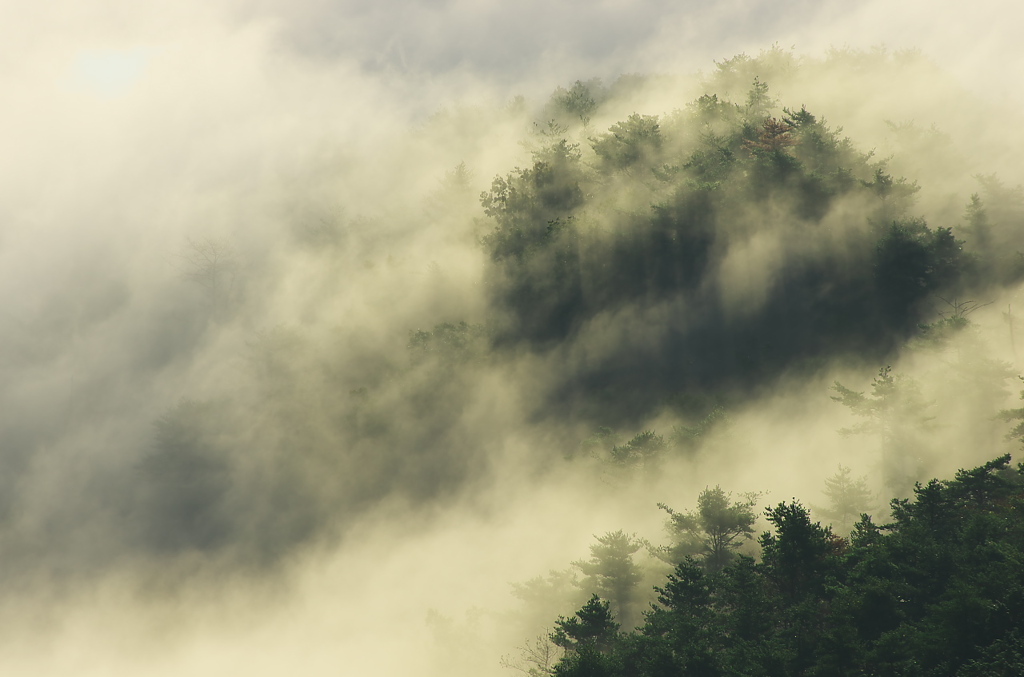 荒谷山の雲海（その５）