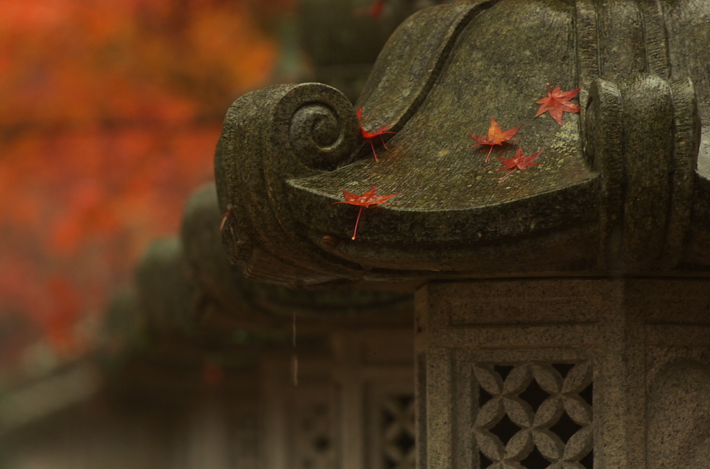 佛通寺の紅葉（その３）