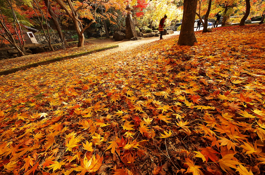 ほとけばら遊園の紅葉（その２）
