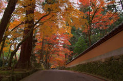 佛通寺