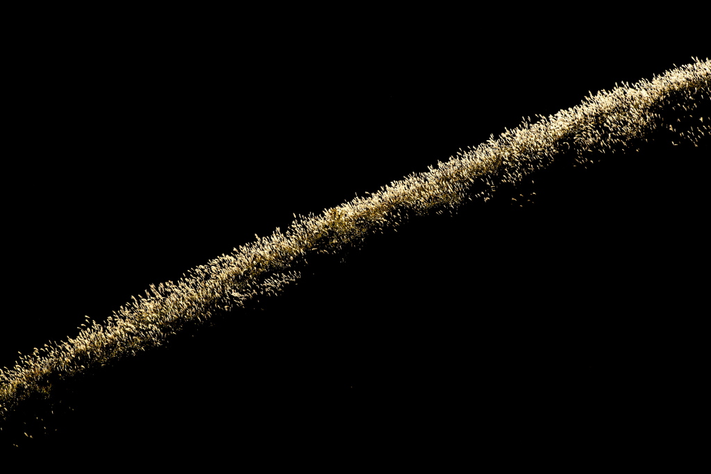 Line of gold
