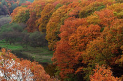 聖湖の紅葉