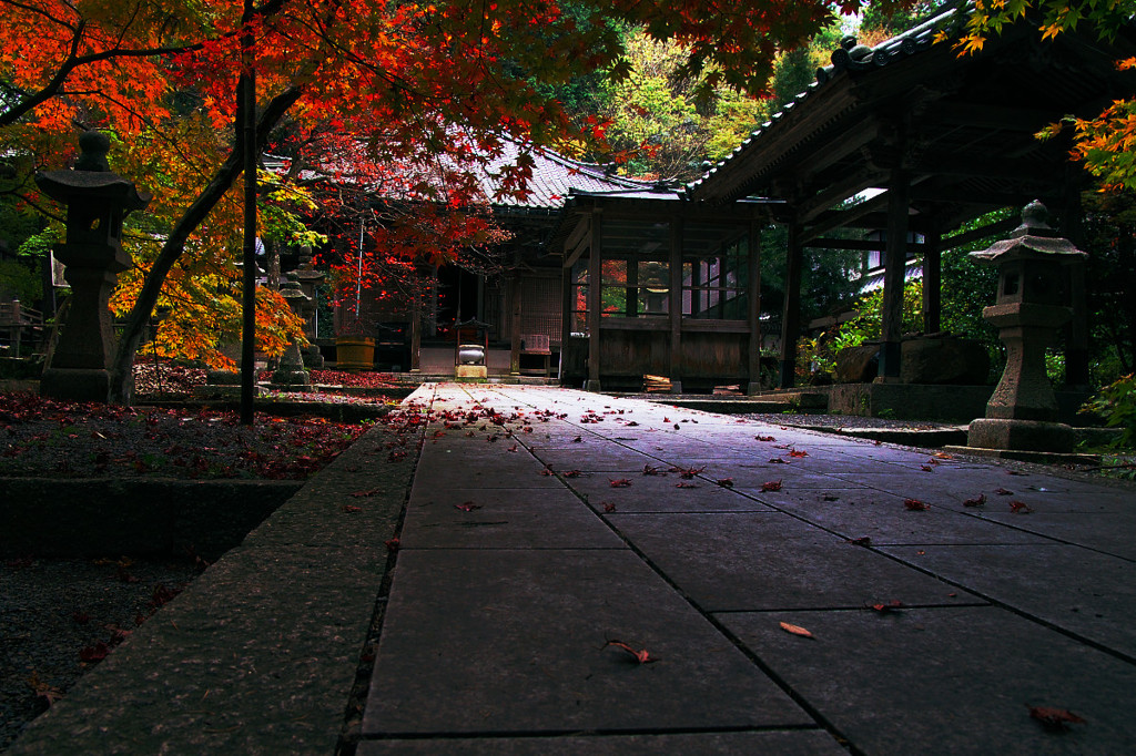 今高野山龍華寺の紅葉
