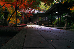 今高野山龍華寺の紅葉