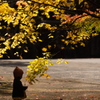 秋に佇む