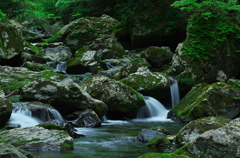 織り成す流れ
