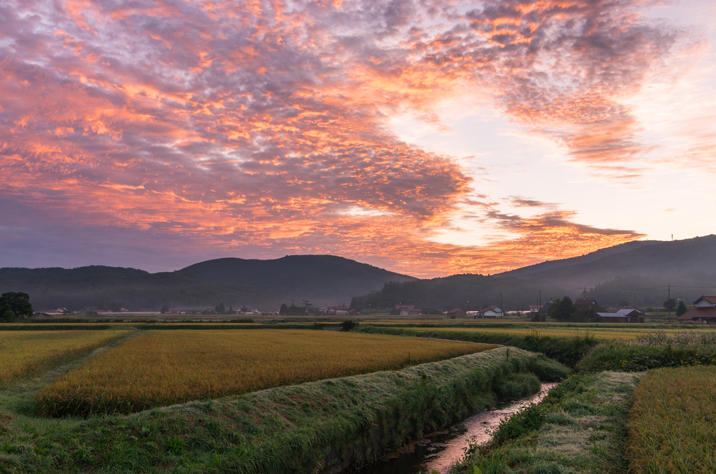 里山の朝
