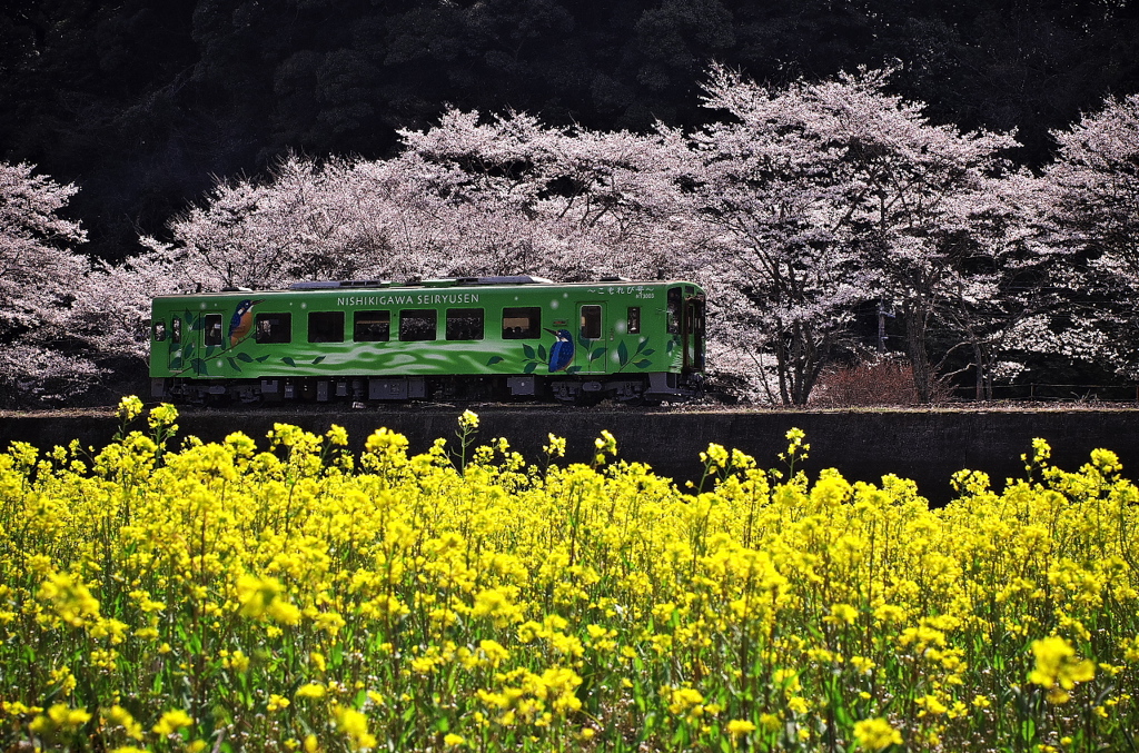 花列車２