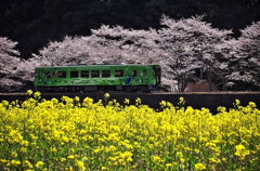 花列車２