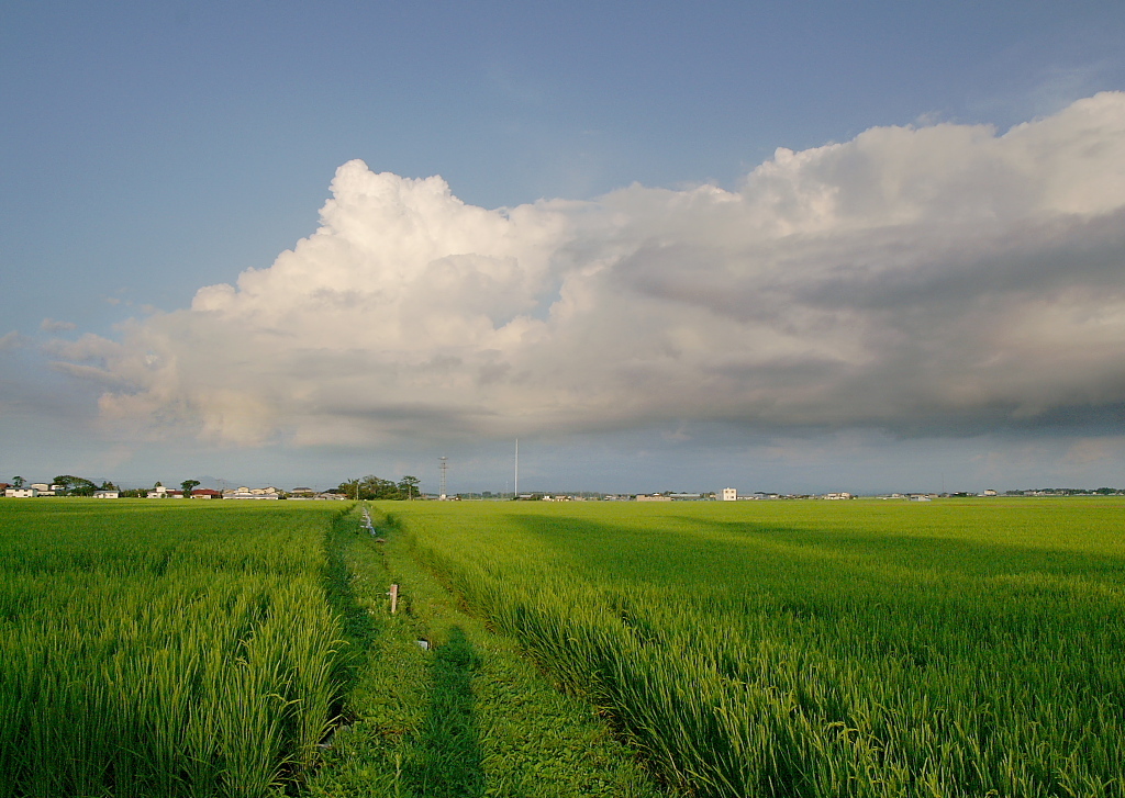 地を這う雲