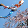 躍動