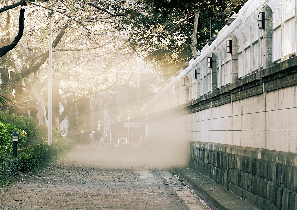 刹那の砂塵