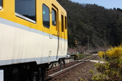 DPP_0305