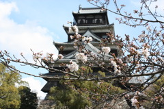 広島城と桜　その２