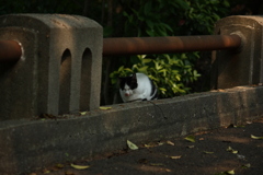 IMG_6199