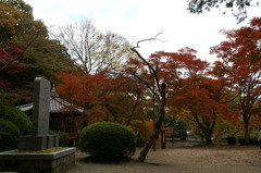 岩国紅葉谷公園