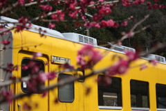 DPP_0337
