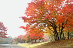帝釈峡休暇村