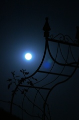 月夜