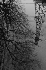 雨上がり２