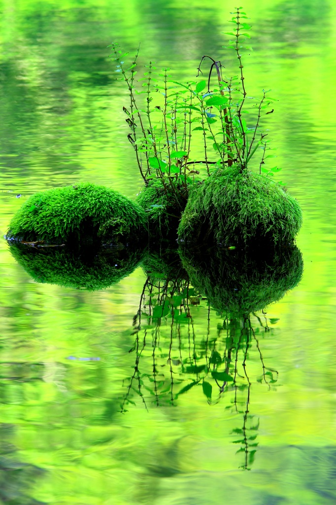 green symmetry