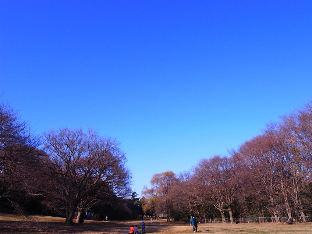 青空