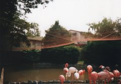 神戸王子動物園２