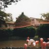 神戸王子動物園２