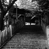 神社
