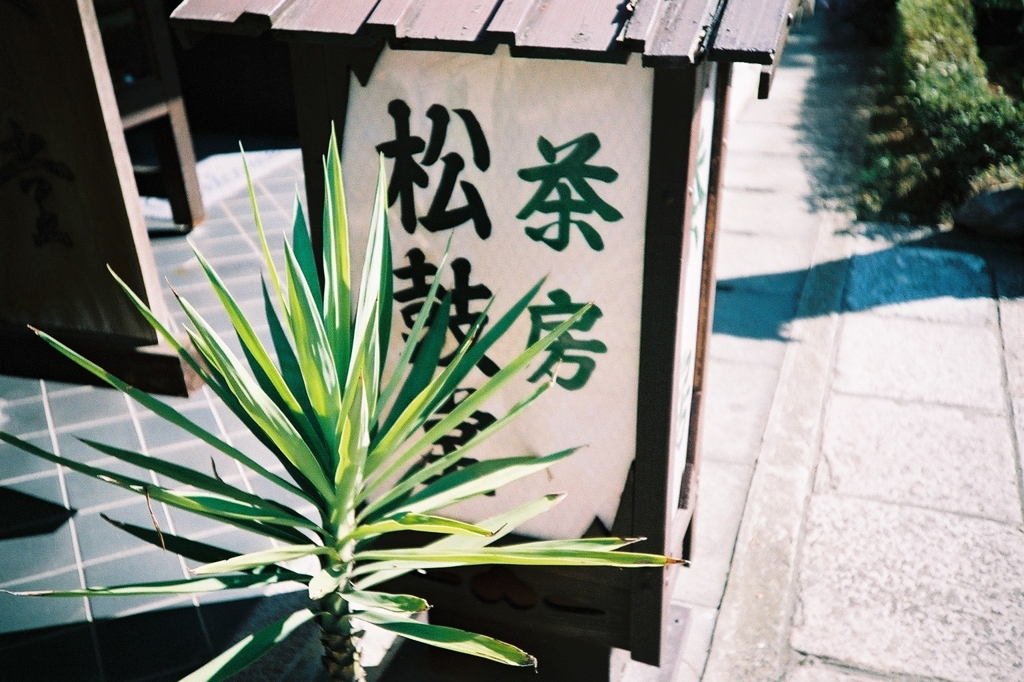 お茶しない？